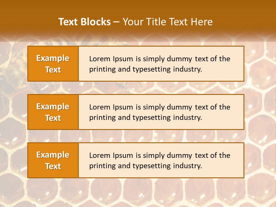 Bees On Combs PowerPoint Template