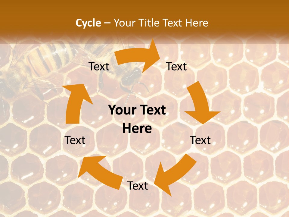 Bees On Combs PowerPoint Template