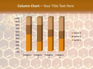 Bees On Combs PowerPoint Template