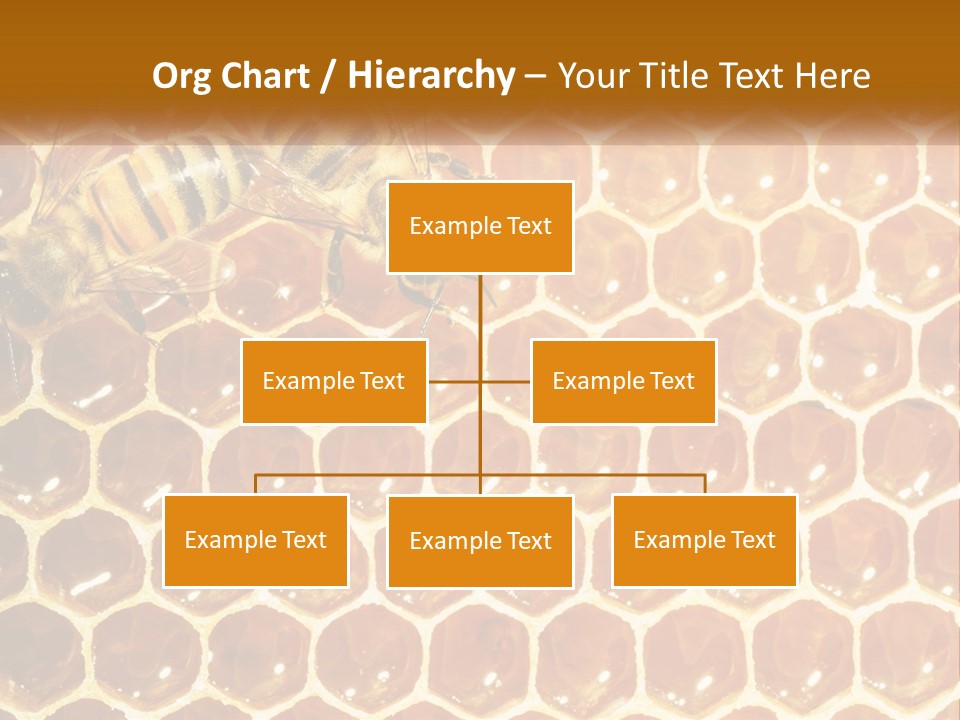 Bees On Combs PowerPoint Template