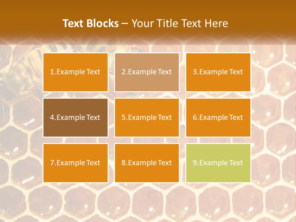Bees On Combs PowerPoint Template