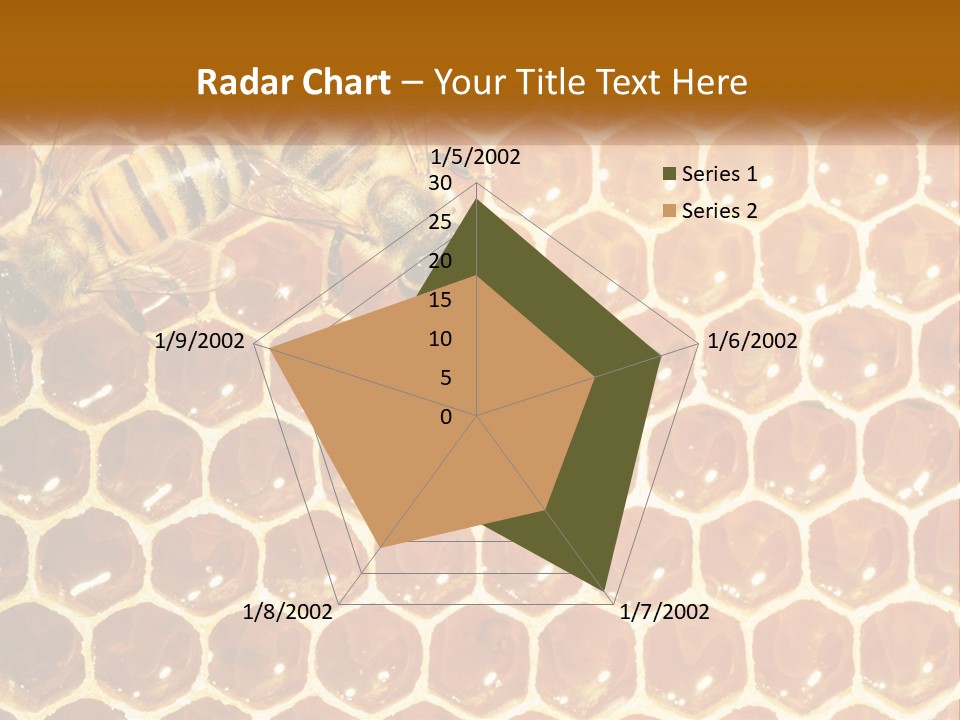 Bees On Combs PowerPoint Template