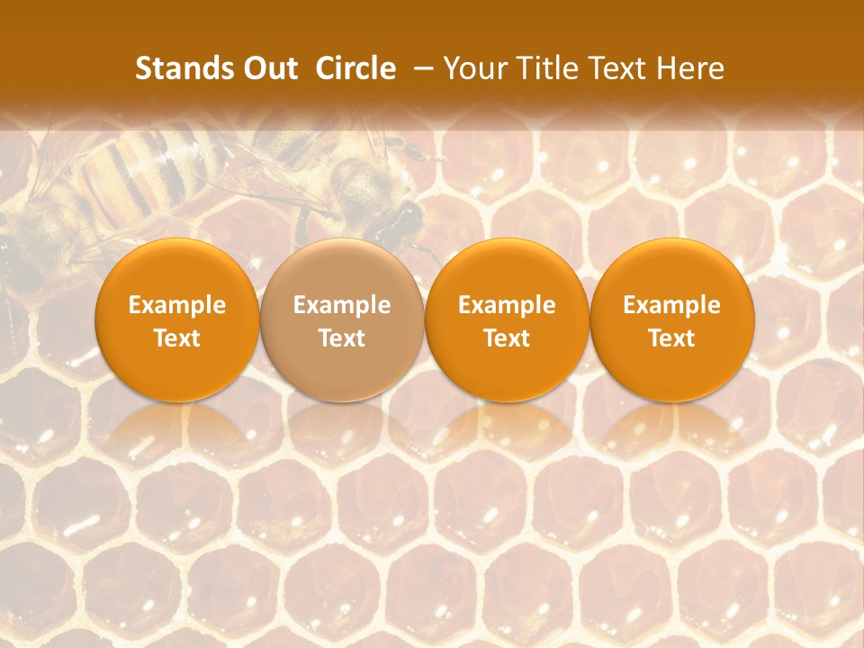 Bees On Combs PowerPoint Template