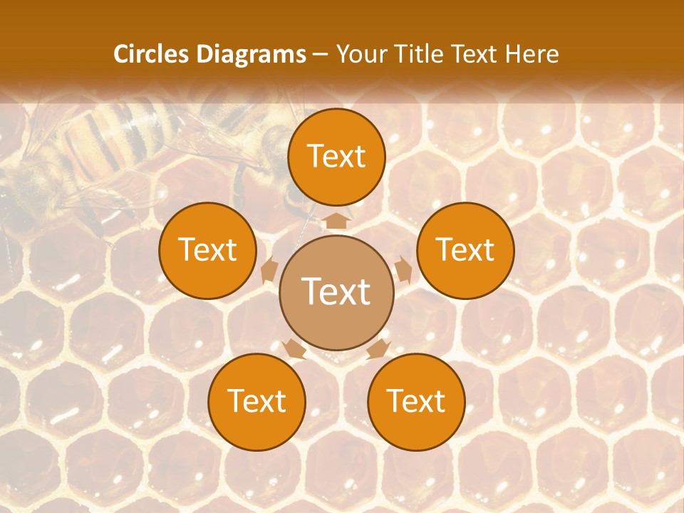 Bees On Combs PowerPoint Template