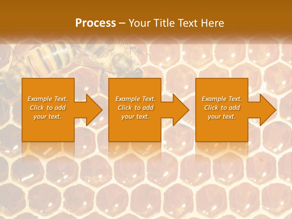 Bees On Combs PowerPoint Template