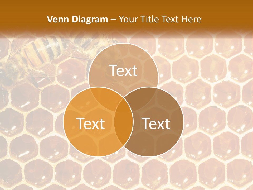 Bees On Combs PowerPoint Template