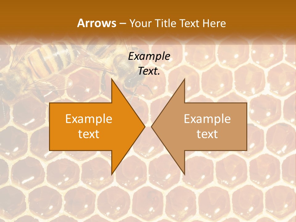 Bees On Combs PowerPoint Template