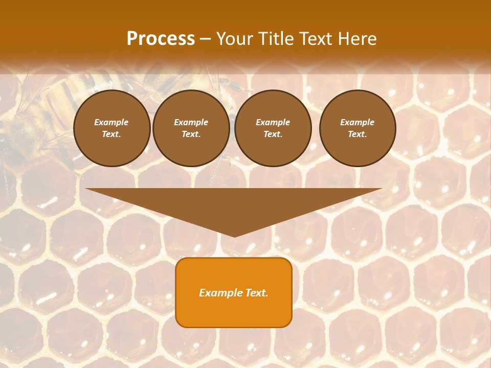 Bees On Combs PowerPoint Template