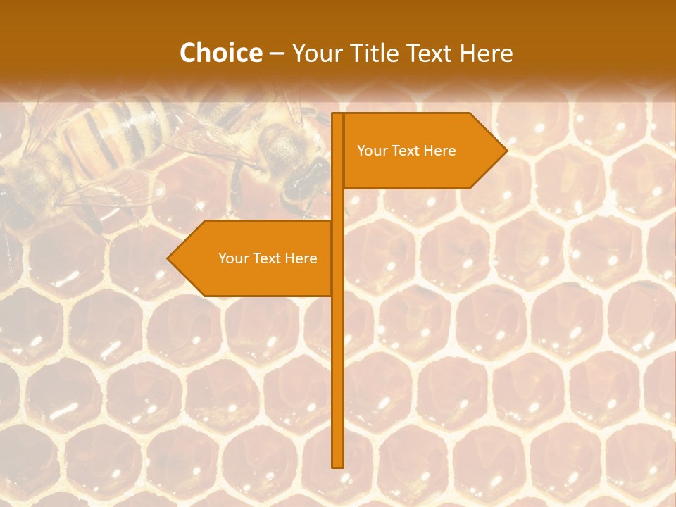 Bees On Combs PowerPoint Template