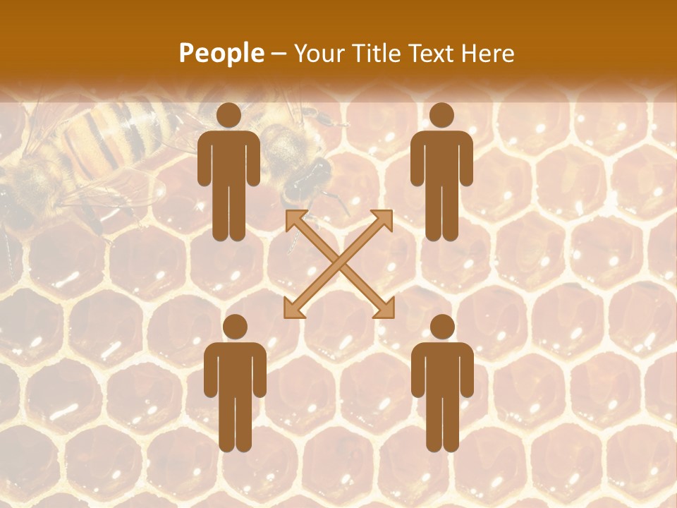 Bees On Combs PowerPoint Template