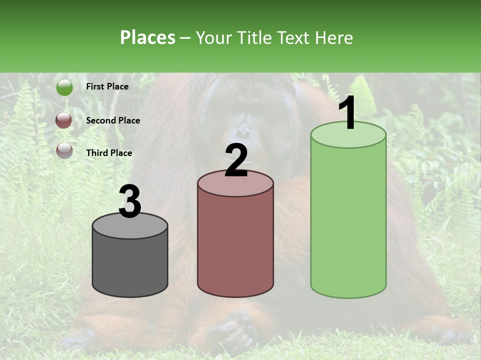 Orangutan PowerPoint Template