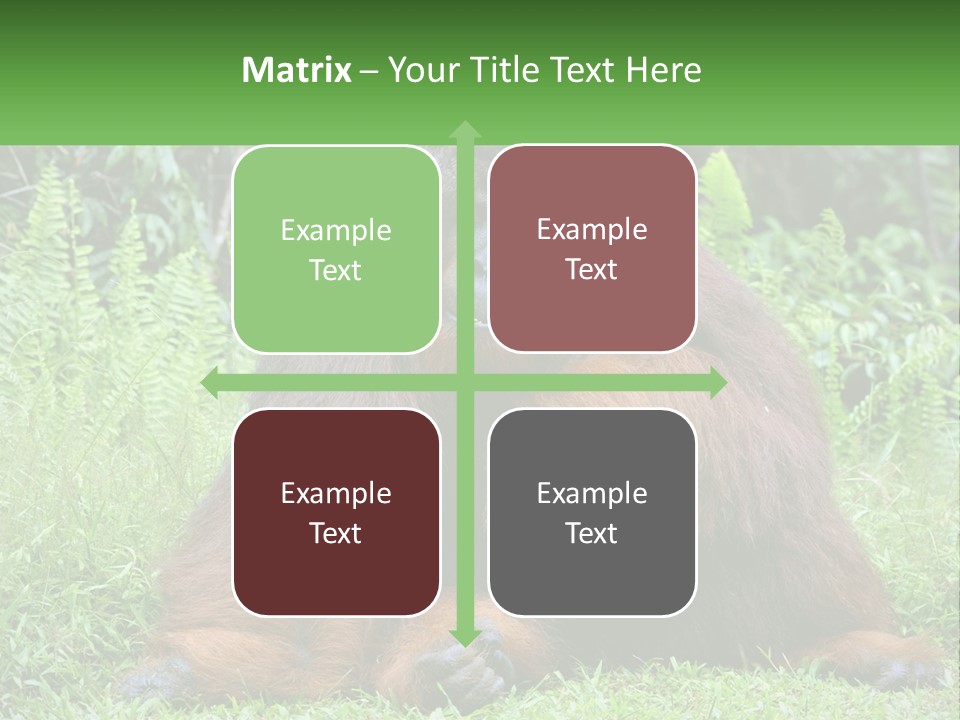 Orangutan PowerPoint Template