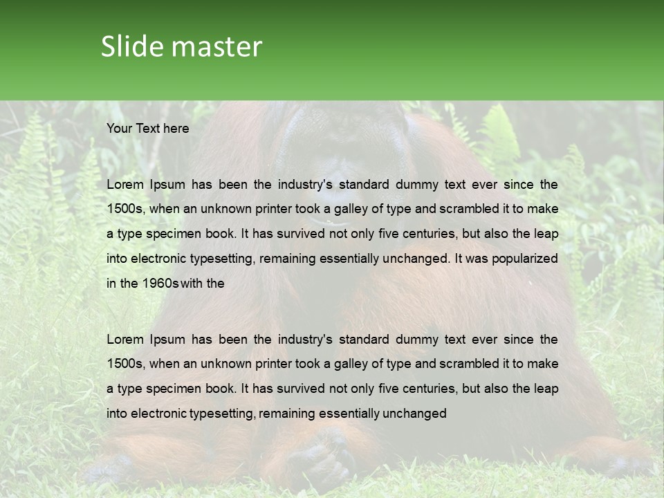Orangutan PowerPoint Template