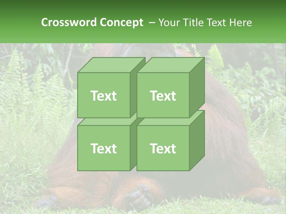 Orangutan PowerPoint Template