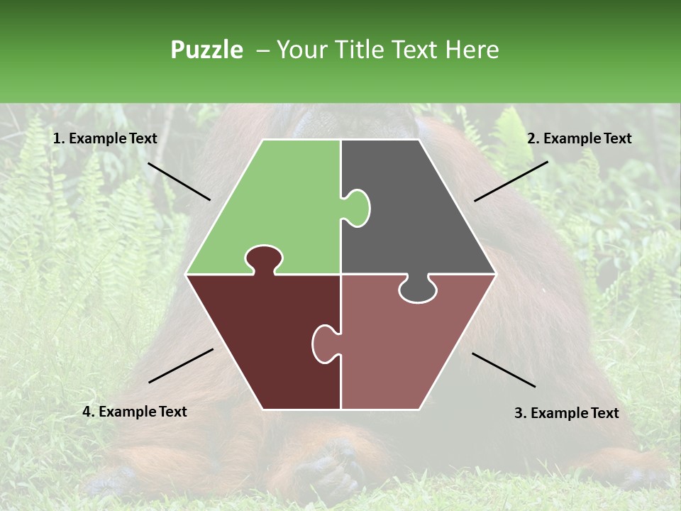 Orangutan PowerPoint Template