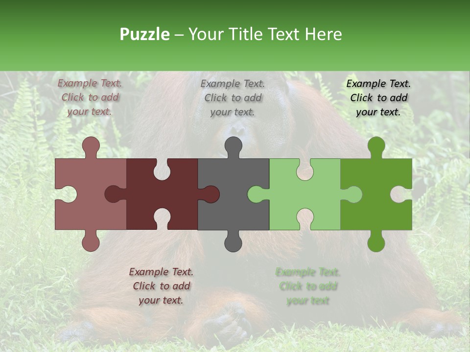Orangutan PowerPoint Template