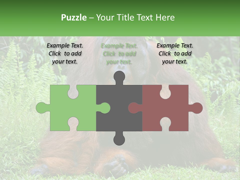 Orangutan PowerPoint Template