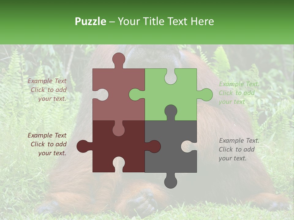 Orangutan PowerPoint Template