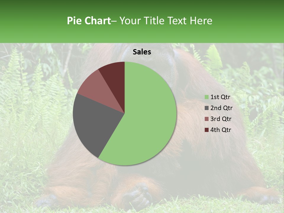 Orangutan PowerPoint Template