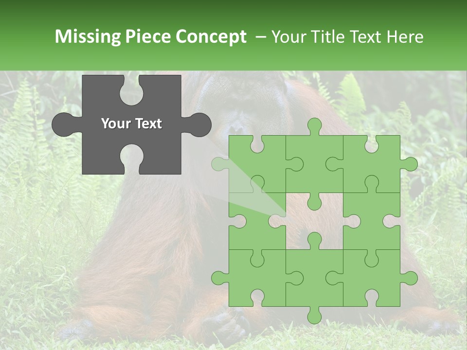 Orangutan PowerPoint Template