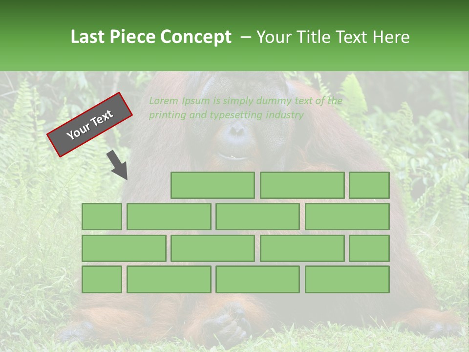 Orangutan PowerPoint Template