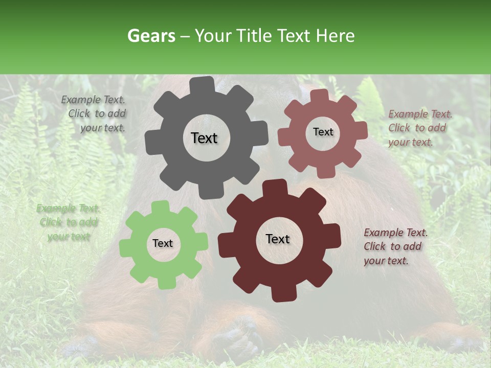 Orangutan PowerPoint Template