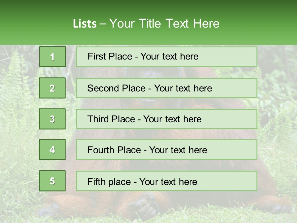 Orangutan PowerPoint Template