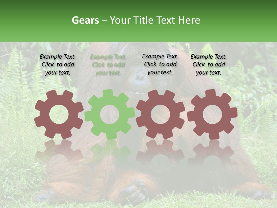 Orangutan PowerPoint Template
