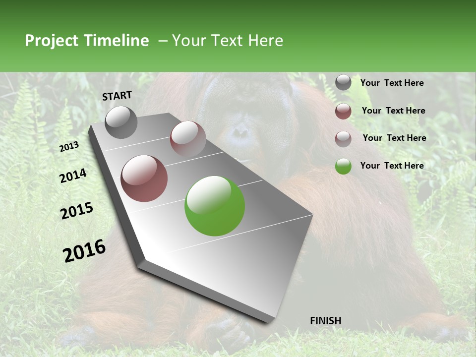 Orangutan PowerPoint Template