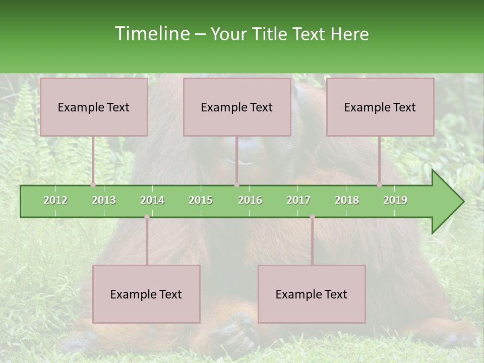 Orangutan PowerPoint Template
