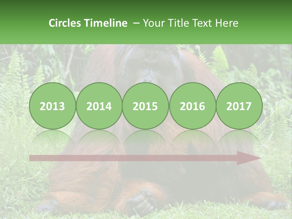 Orangutan PowerPoint Template