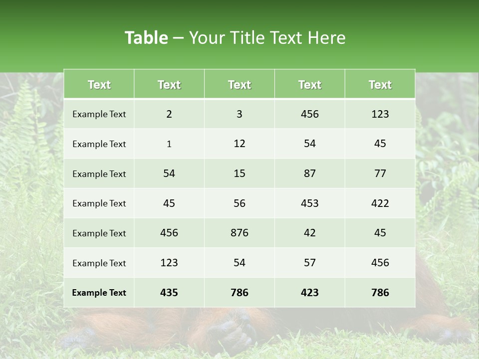 Orangutan PowerPoint Template