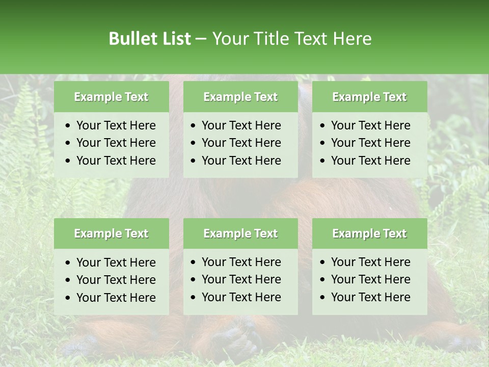 Orangutan PowerPoint Template