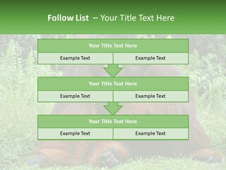 Orangutan PowerPoint Template