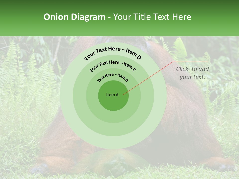 Orangutan PowerPoint Template