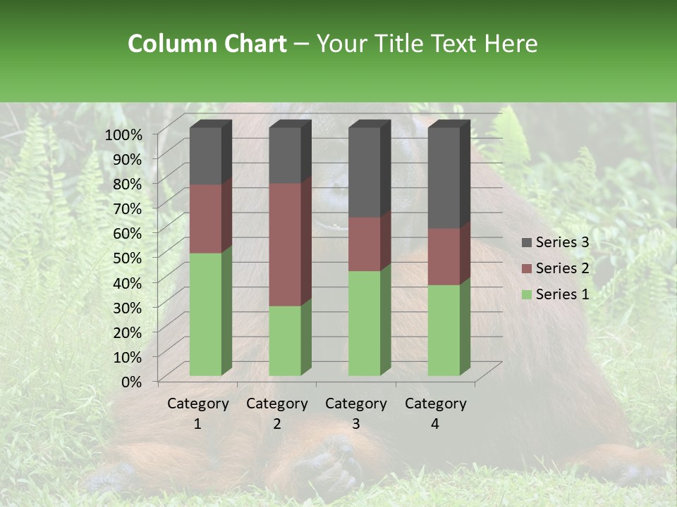 Orangutan PowerPoint Template