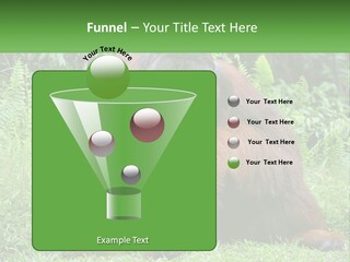 Orangutan PowerPoint Template
