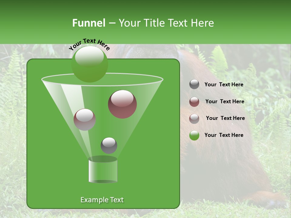 Orangutan PowerPoint Template