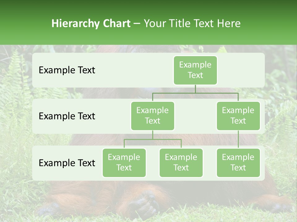 Orangutan PowerPoint Template