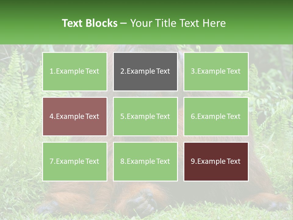 Orangutan PowerPoint Template