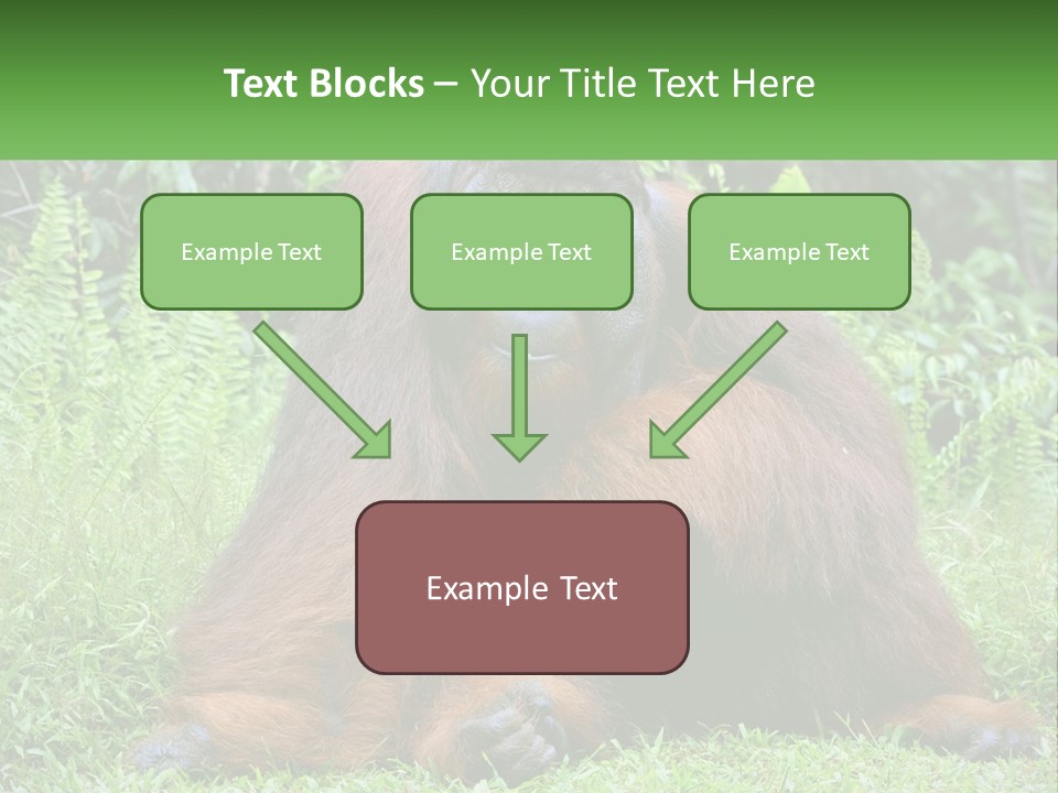 Orangutan PowerPoint Template