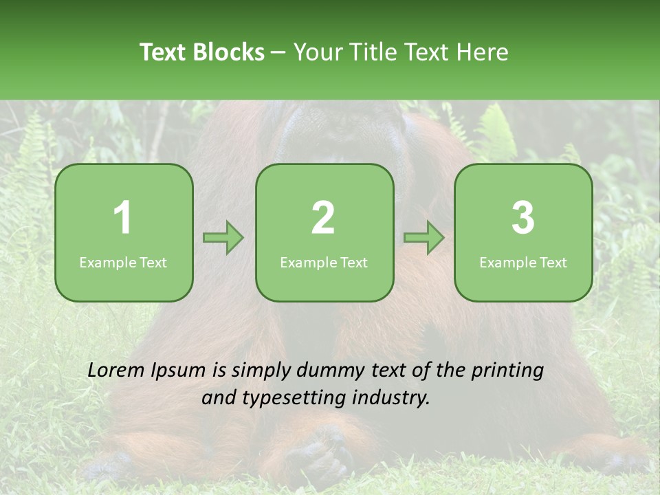 Orangutan PowerPoint Template