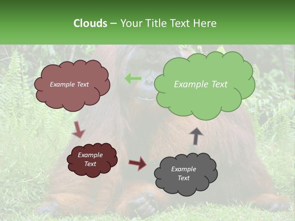 Orangutan PowerPoint Template