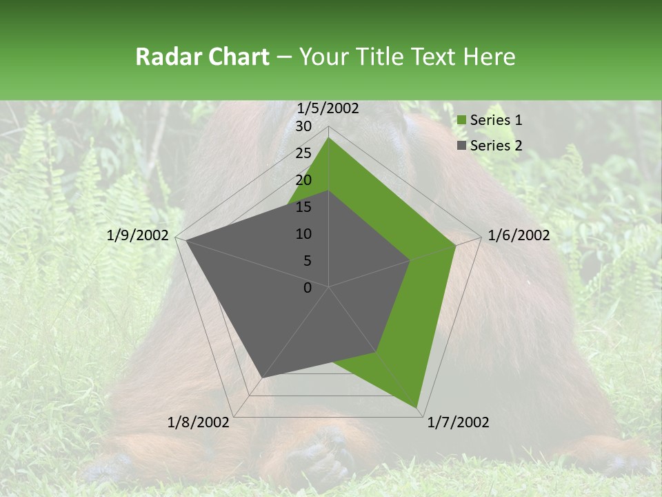 Orangutan PowerPoint Template