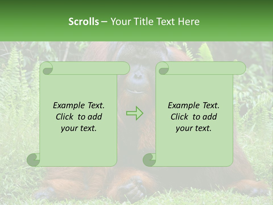 Orangutan PowerPoint Template