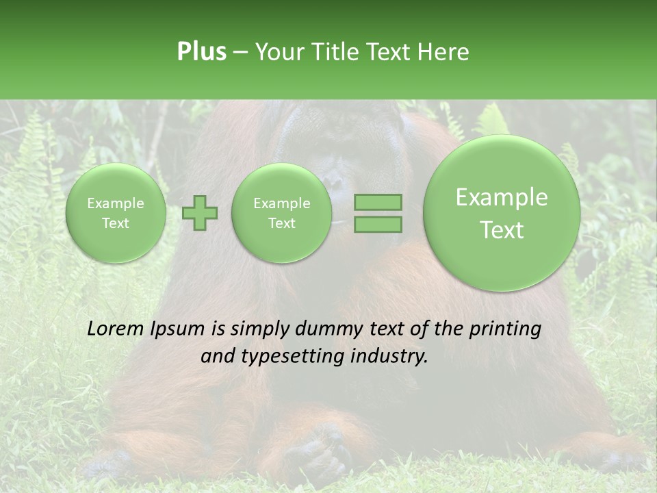 Orangutan PowerPoint Template