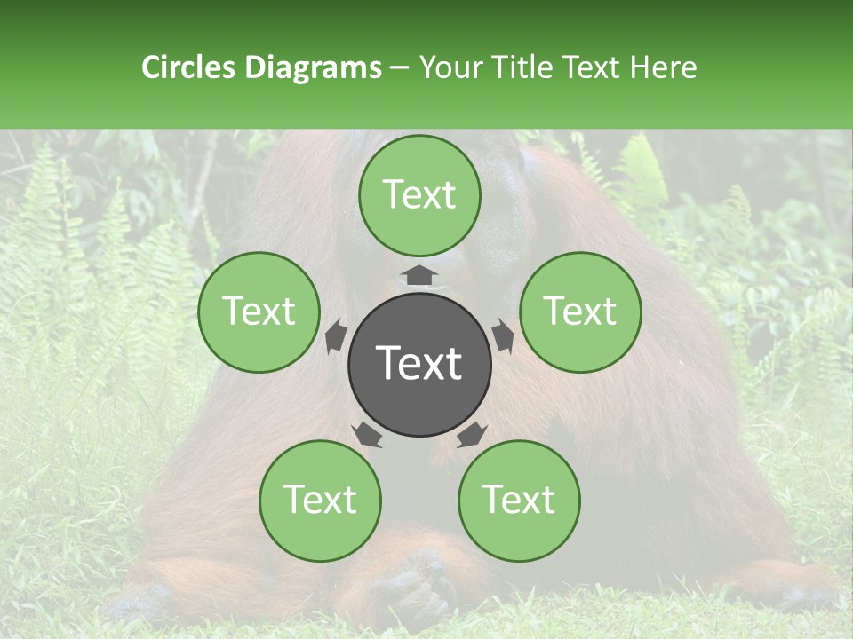 Orangutan PowerPoint Template