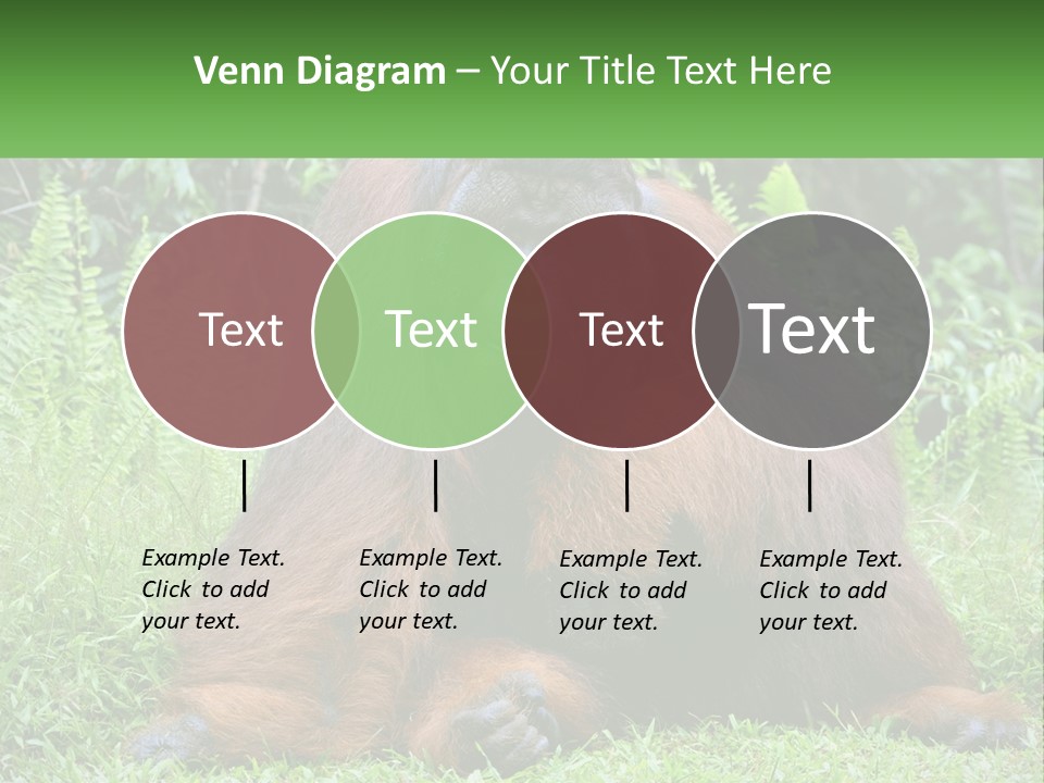 Orangutan PowerPoint Template