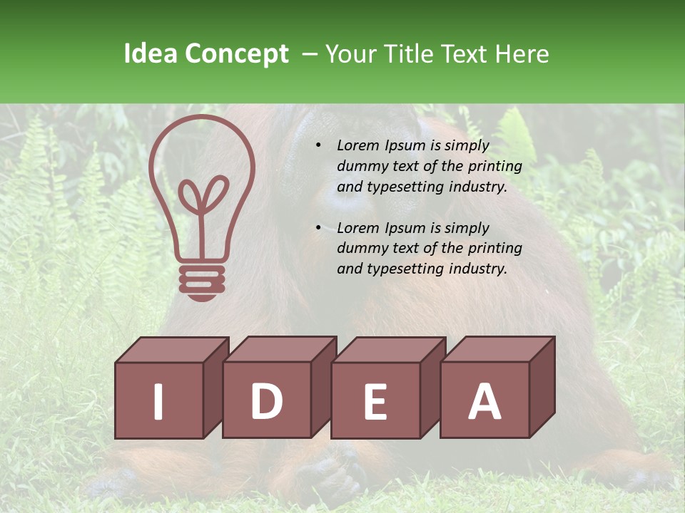 Orangutan PowerPoint Template