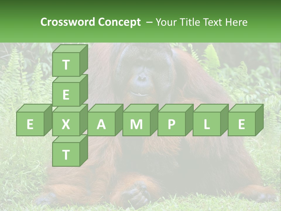 Orangutan PowerPoint Template